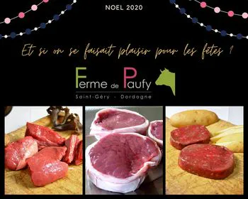 Découvrez nos plats de viande pour Noël