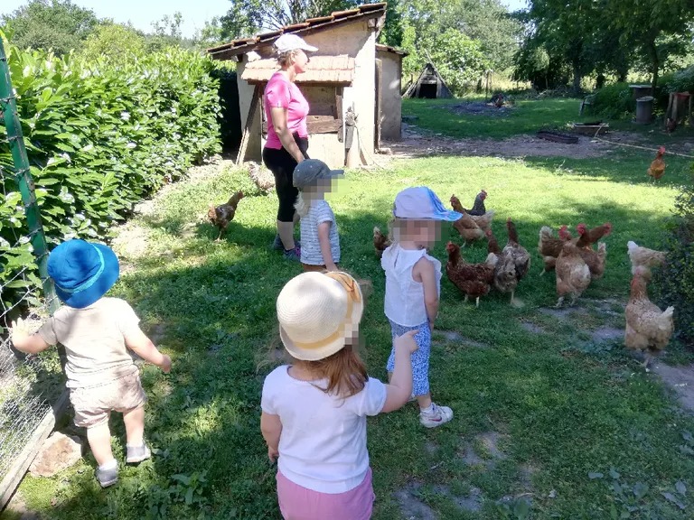 imgi_22_poules-1 le domaine 13