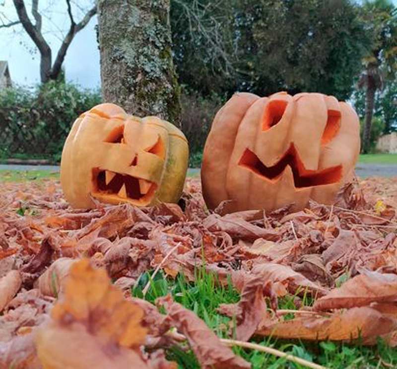 halloween 2021