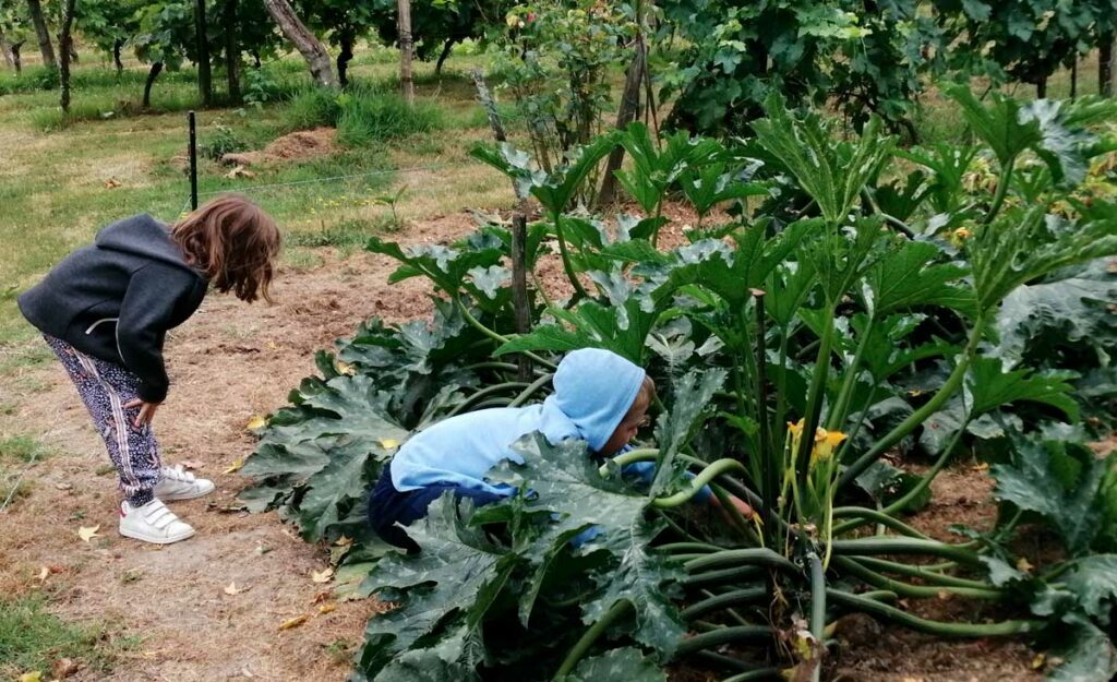 jardinage